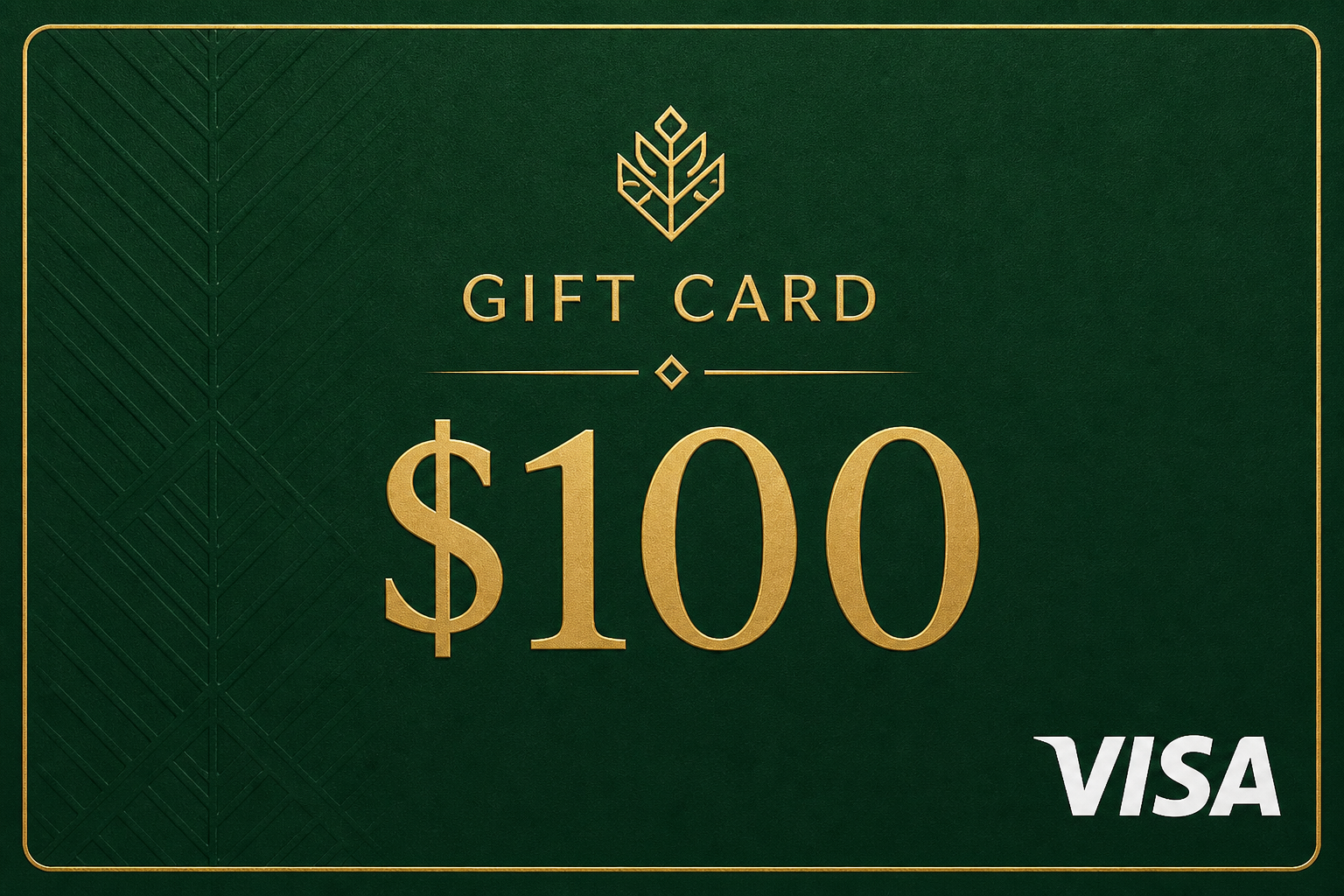 $100 Visa gift card